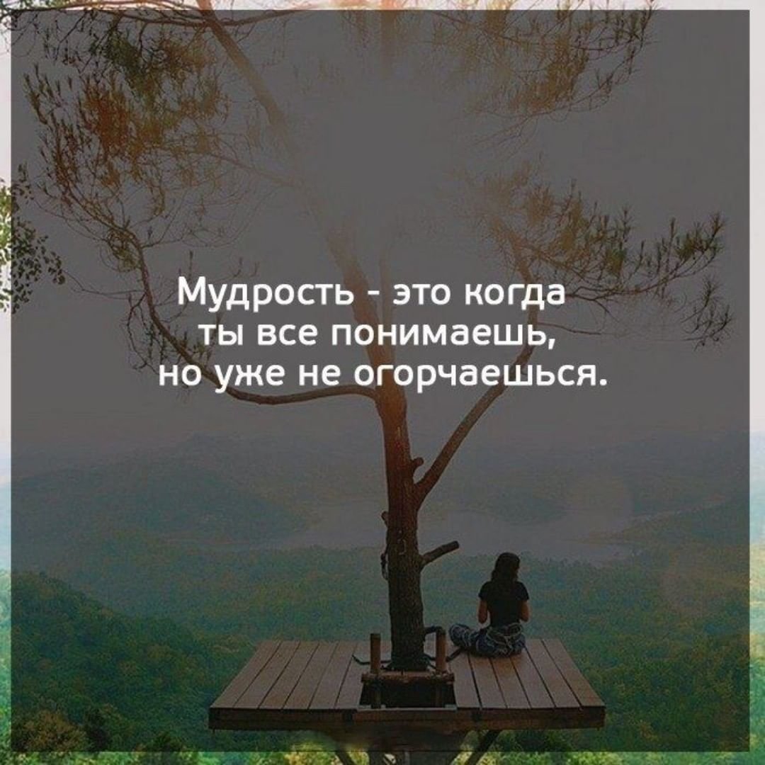 Мудрость жизни