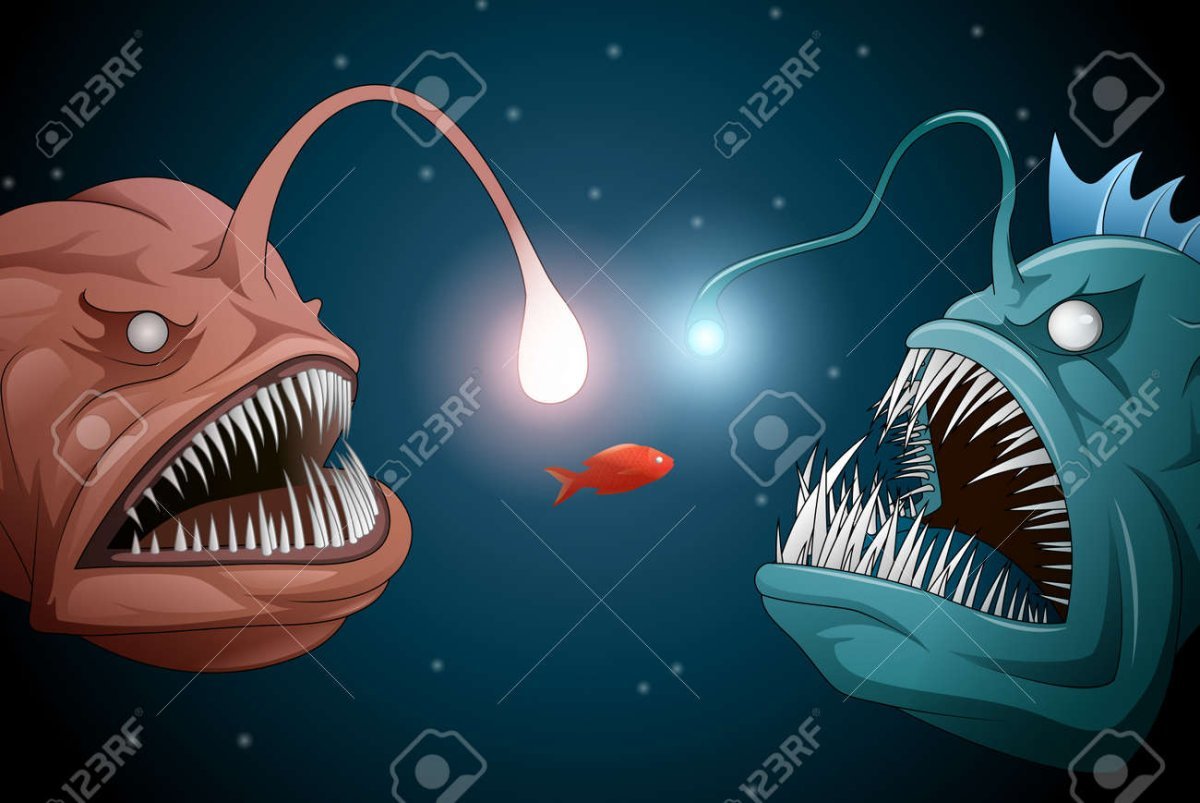 Рыба удильщик в поисках Немо