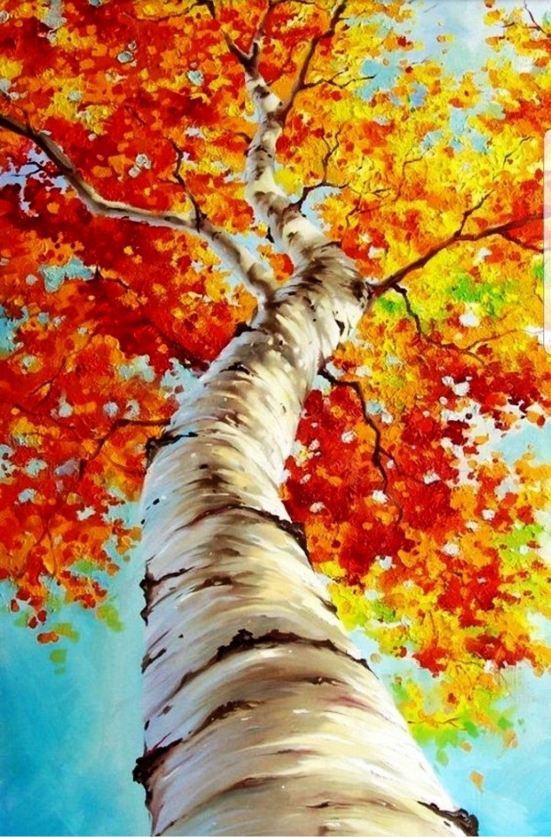 Береза повислая осенью