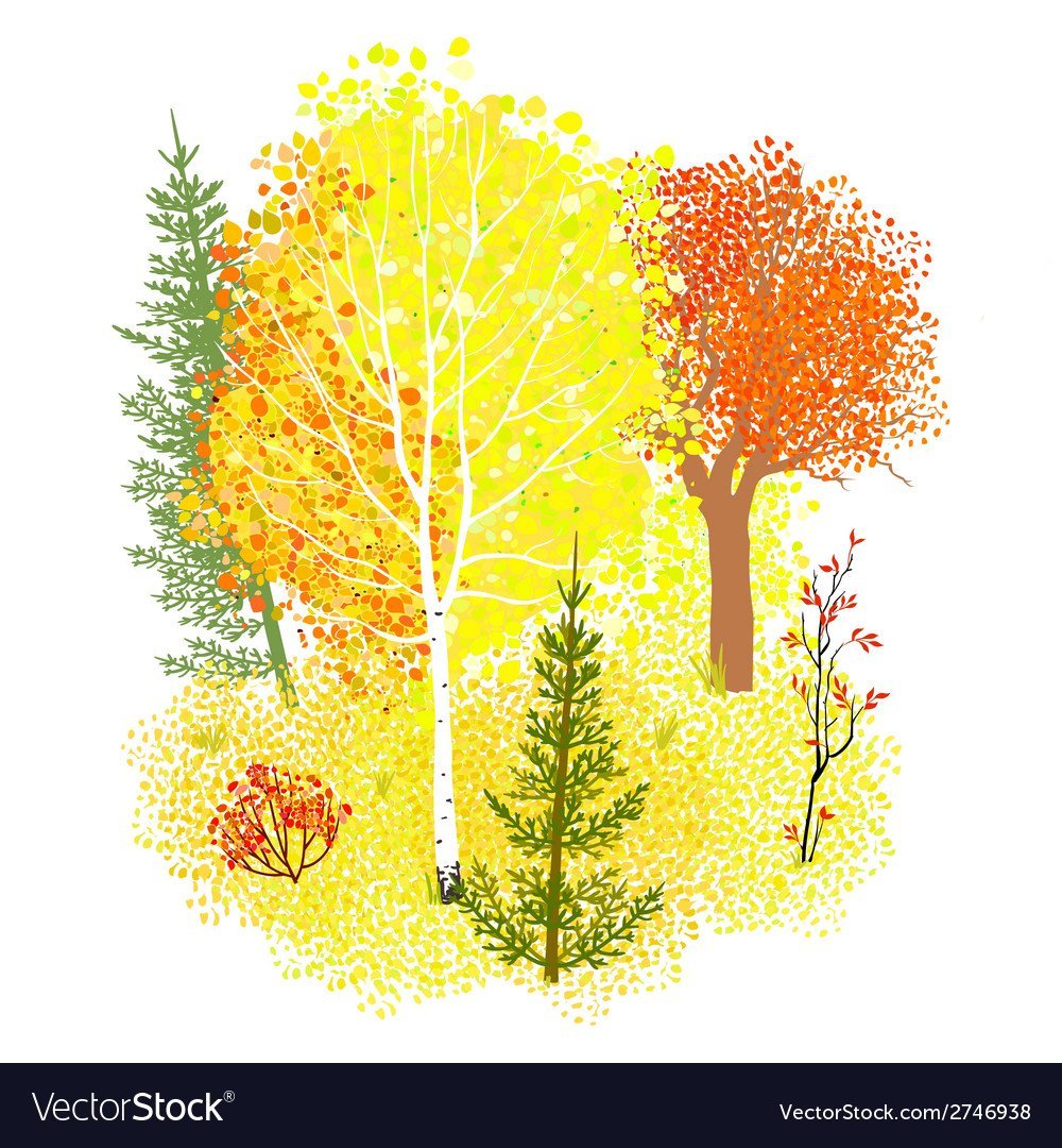 Золотая осень Березовая роща Церковь