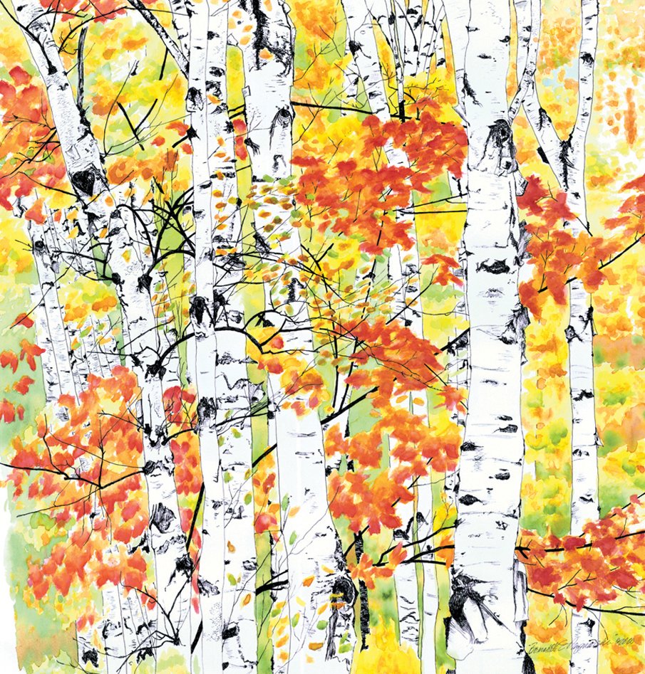 Береза осенью картинки для детей