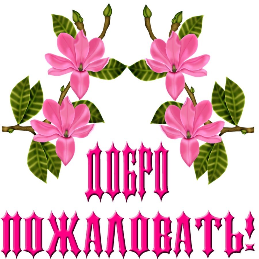 Добро пожаловать!