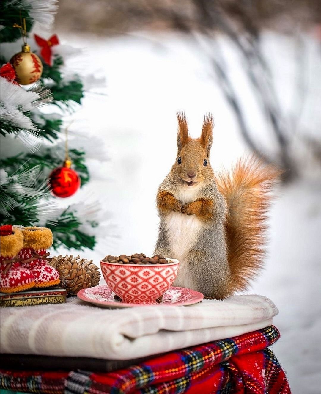 Доброе утро красивые необычные с животными