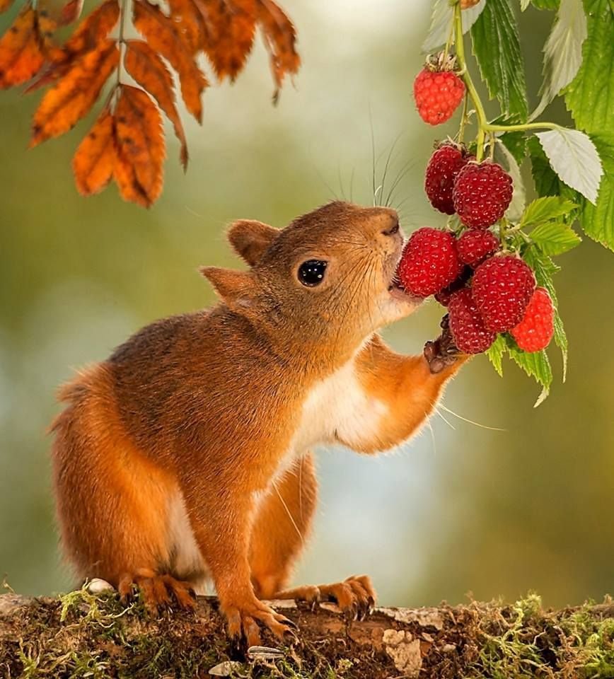 Производственный календарь