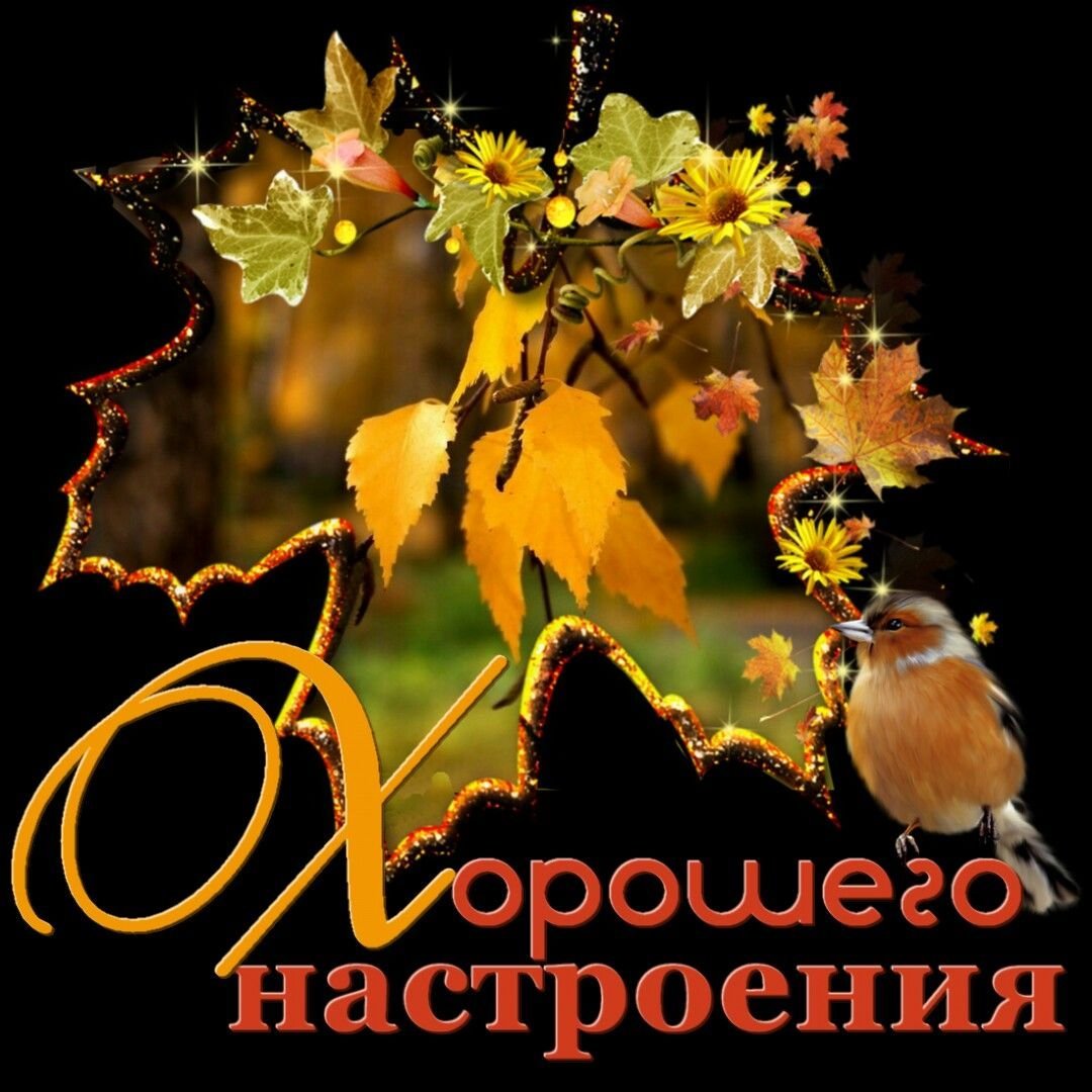 С добрым осенним утром вторника