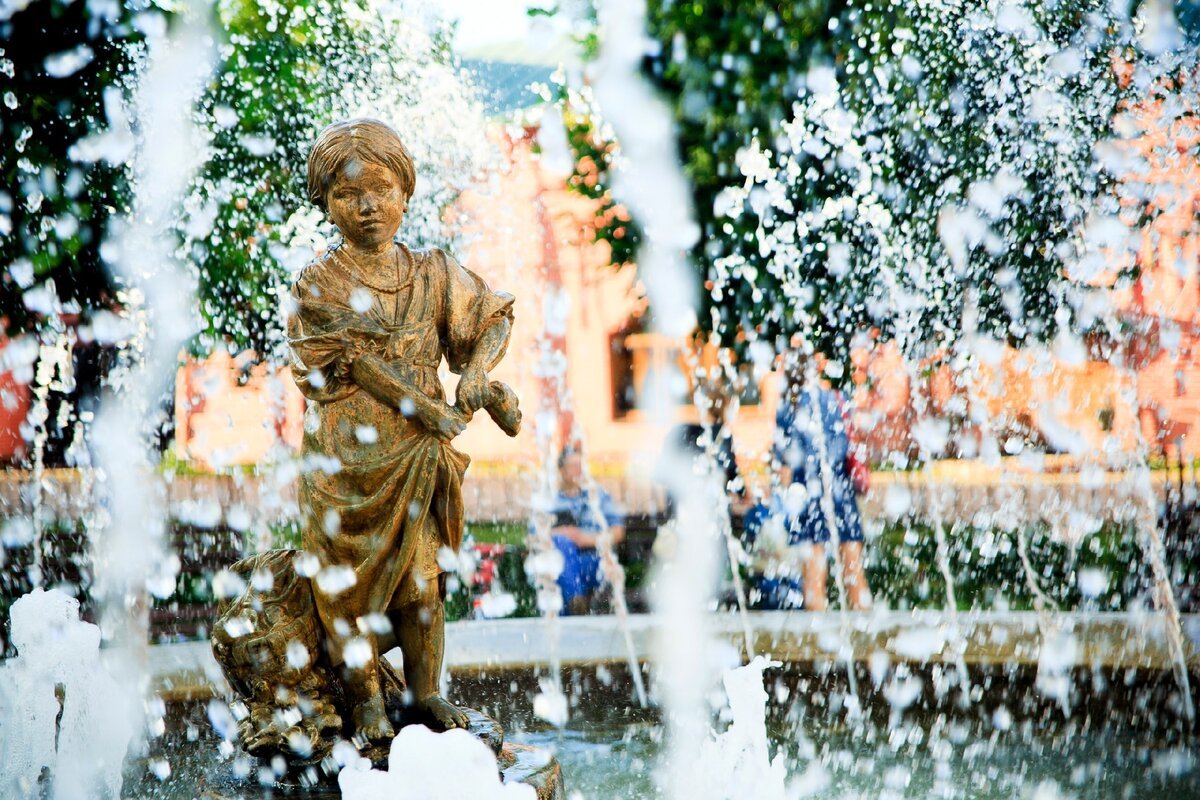 Клин фонтан грибница