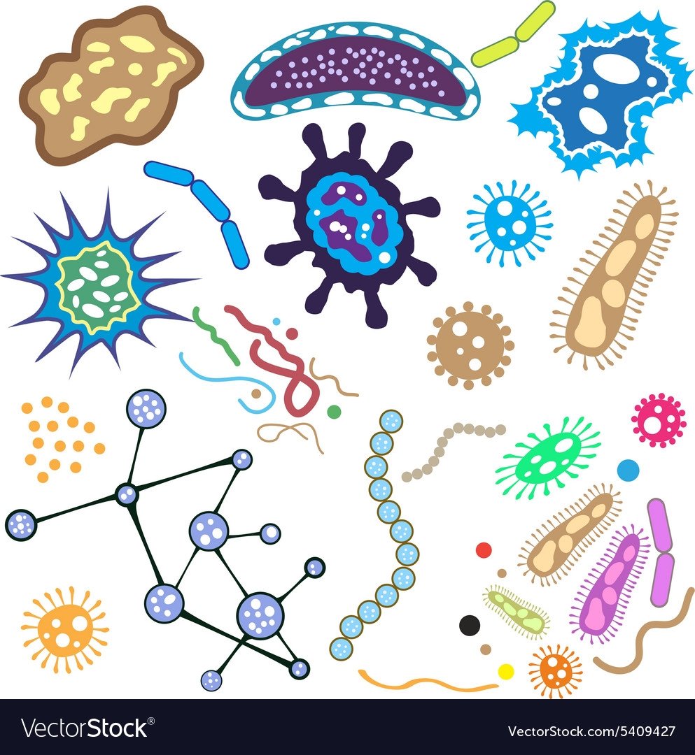 Коронавирус микробы микробы