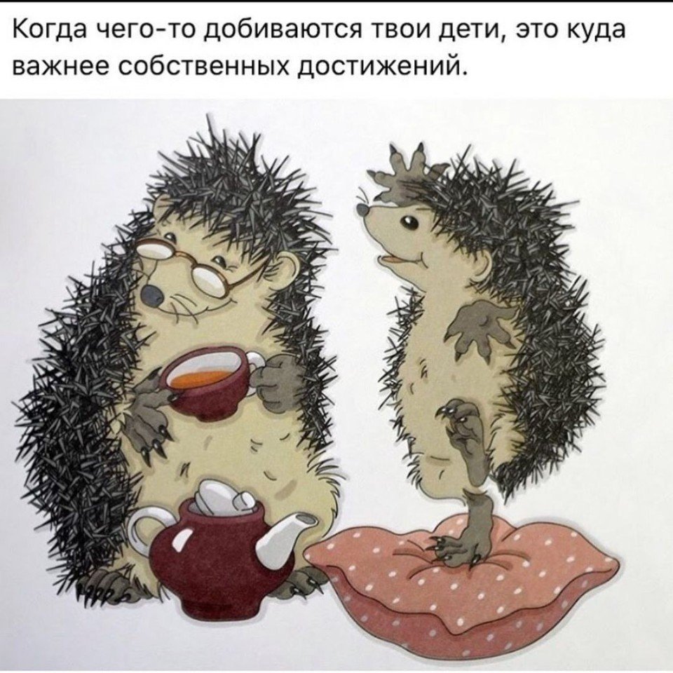 Оксана Заика ежики