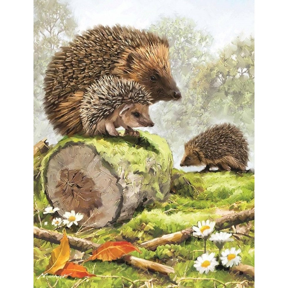 Семья ежей картинки для детей