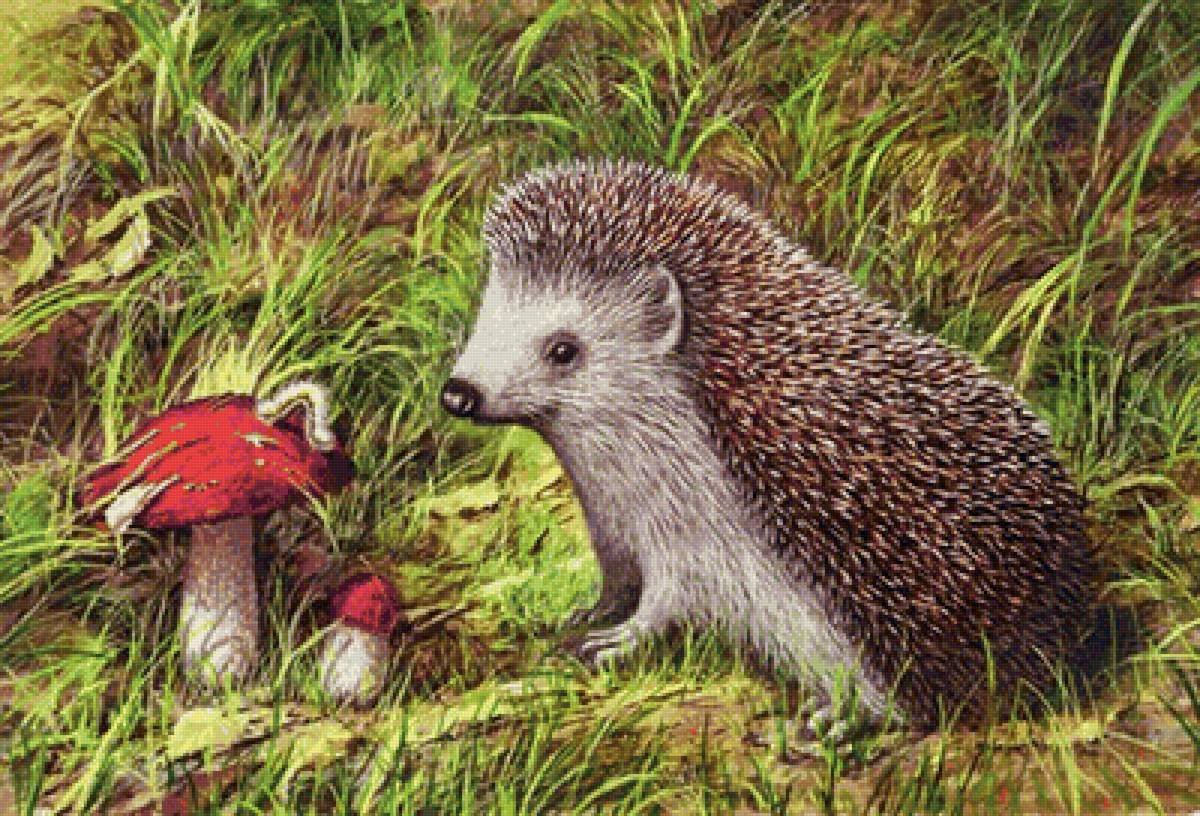 Дружная семья ежей