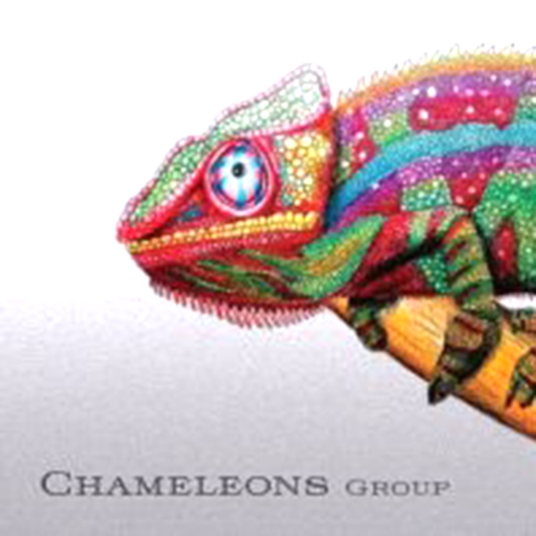 Хамелеон разноцветный