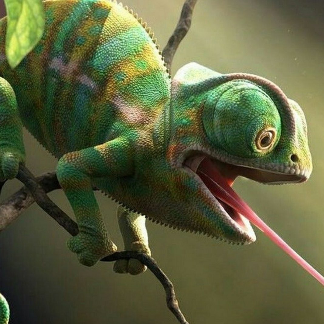 Яркие тропические цветы