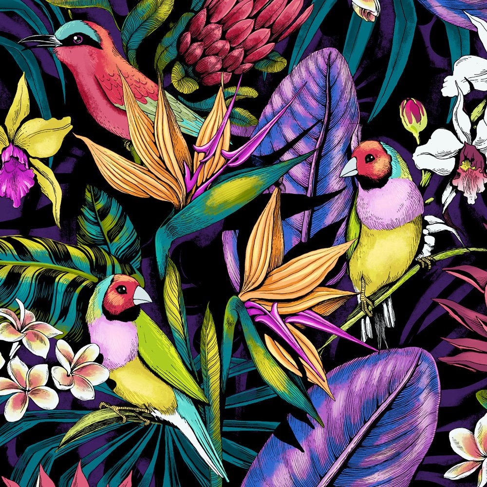 Хамелеон красивый