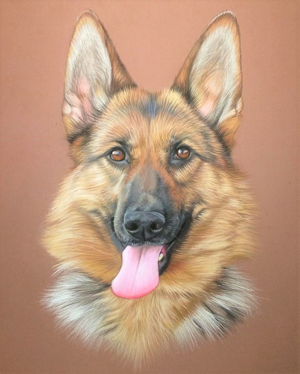 Немецкая овчарка Мухтар арт