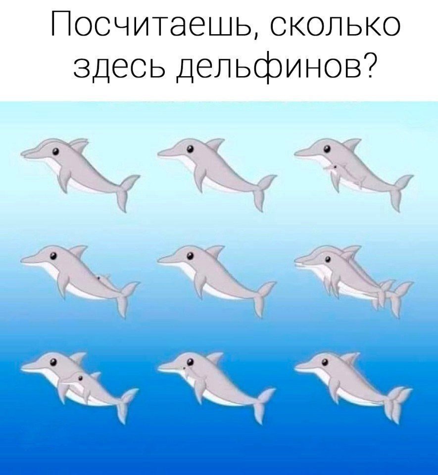 Сахарнов девочка и Дельфин