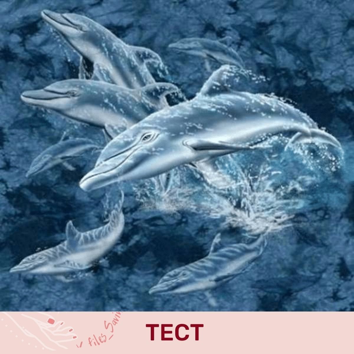 Дельфины или пара