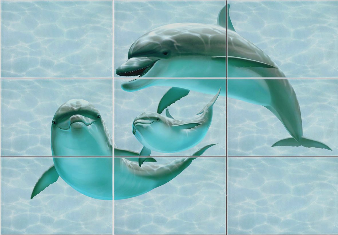 Влюбленные дельфины