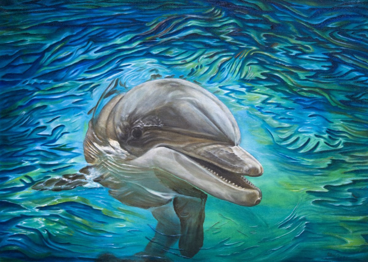 Танцы с дельфинами