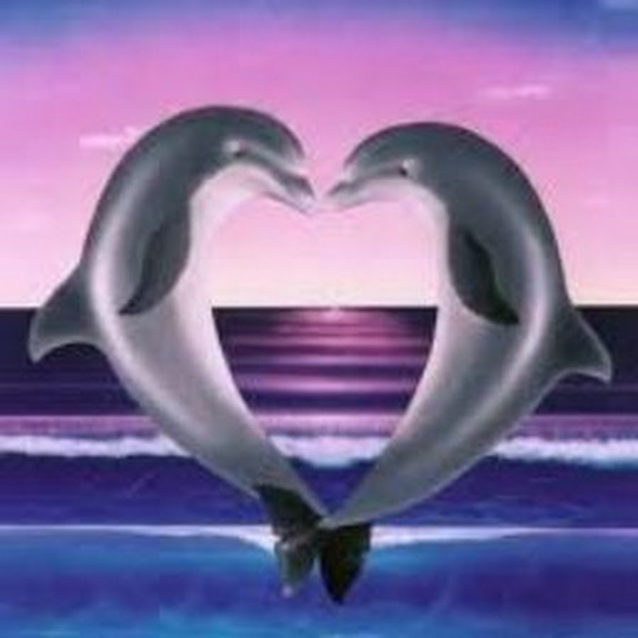 Дельфины эзотерика