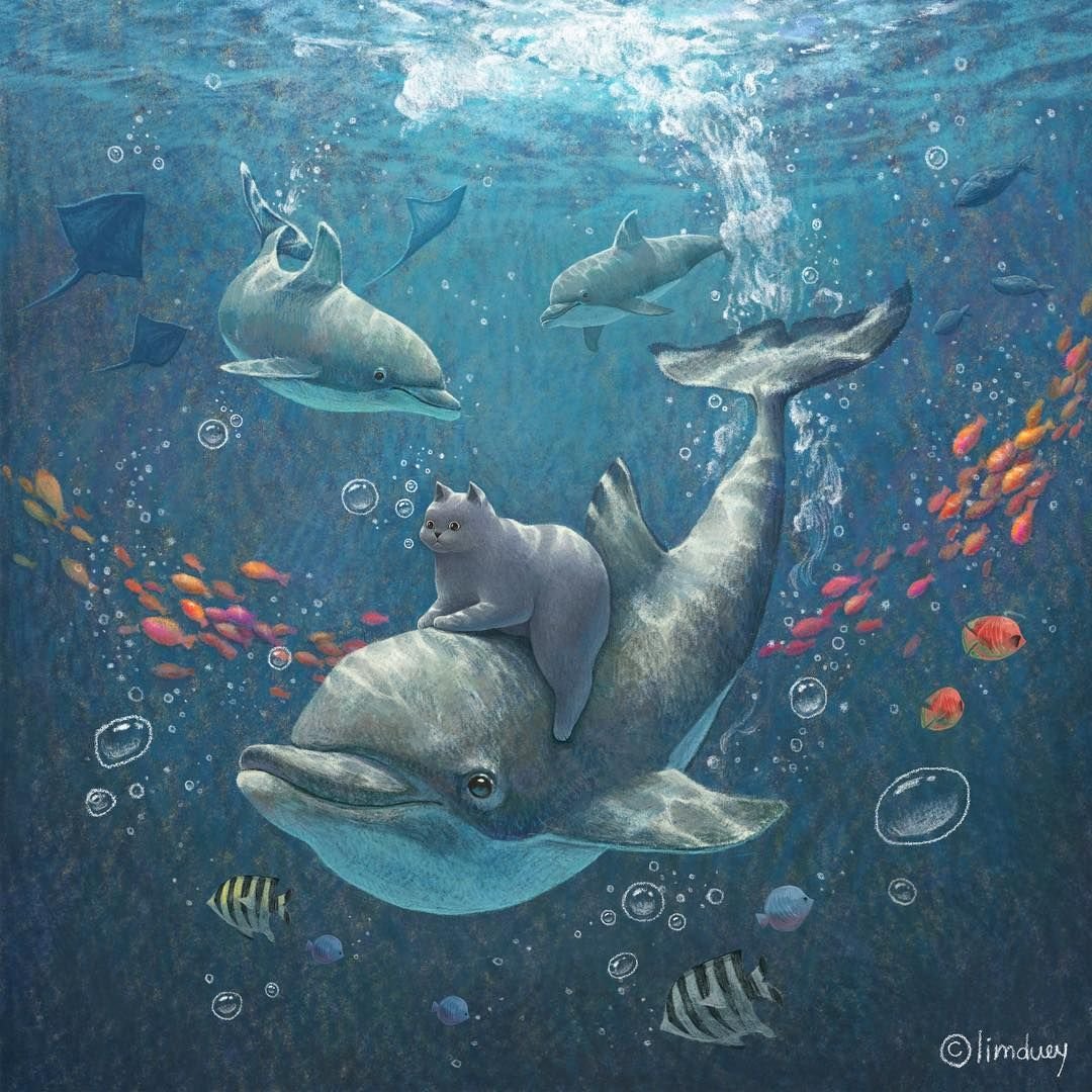 Матренин Посад дельфины