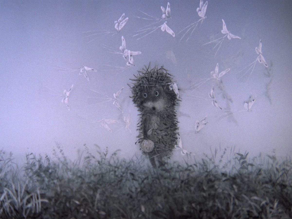 Ежик красками