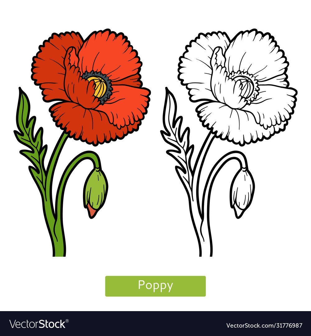 Мака в полный рост