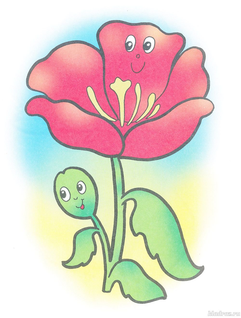 Маки Графика