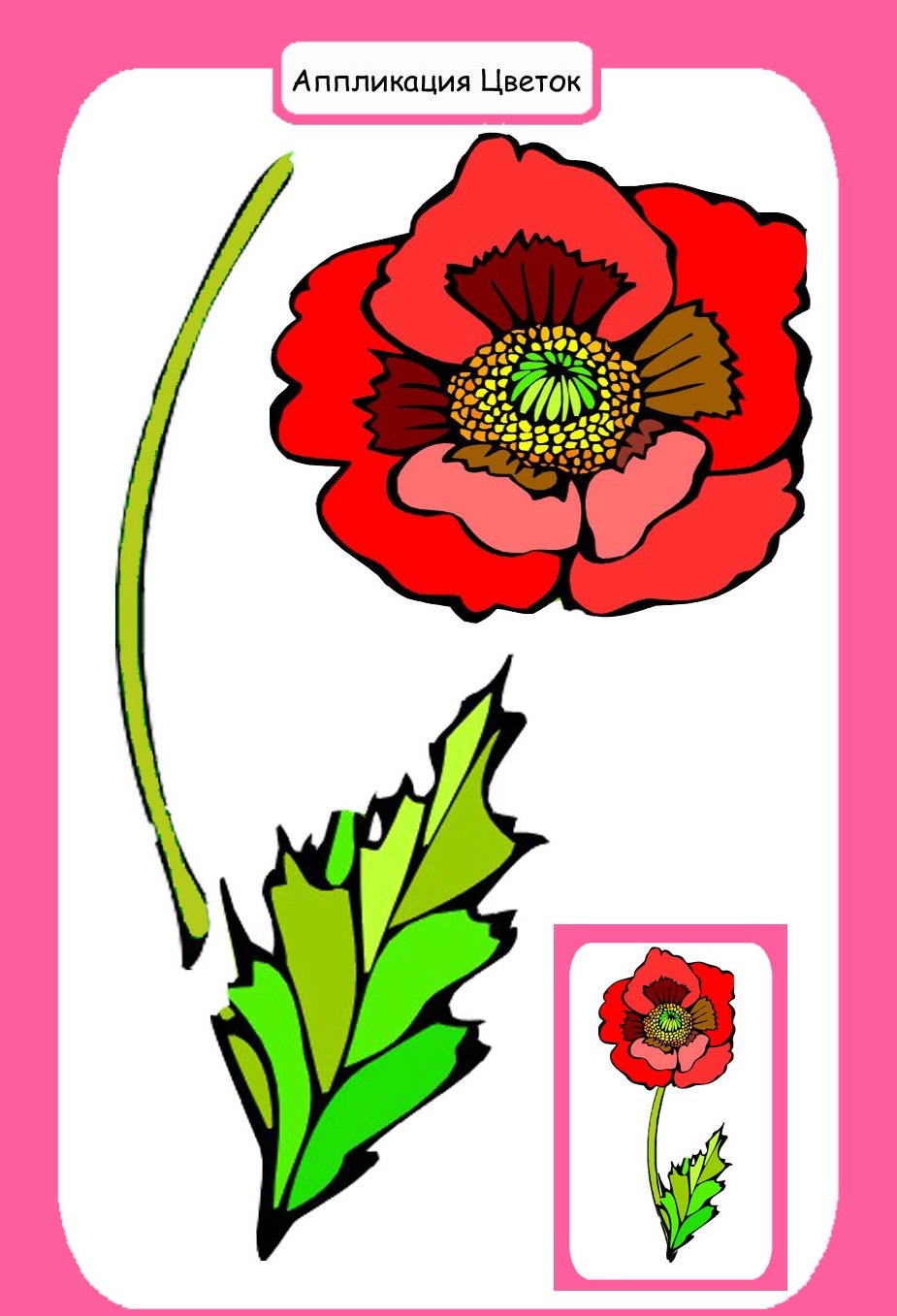 Мак на прозрачном фоне