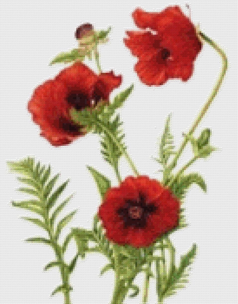 Картинки Мак для детей в детском саду