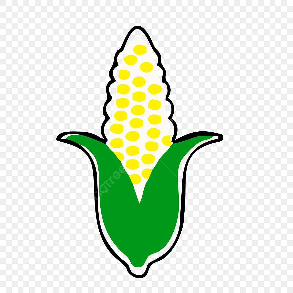 Кукуруза иллюстрация инфографика