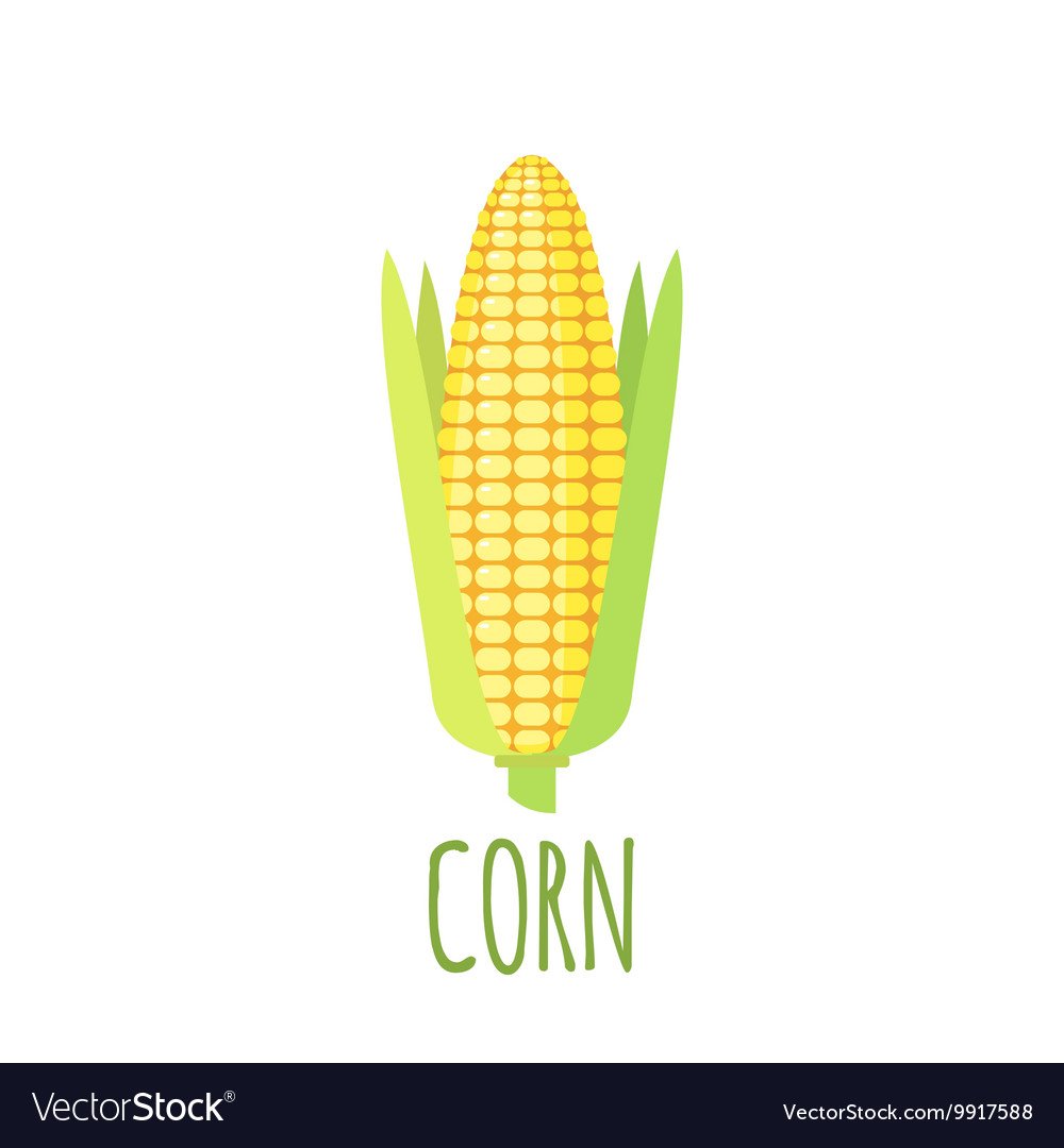 Кукуруза акварелью