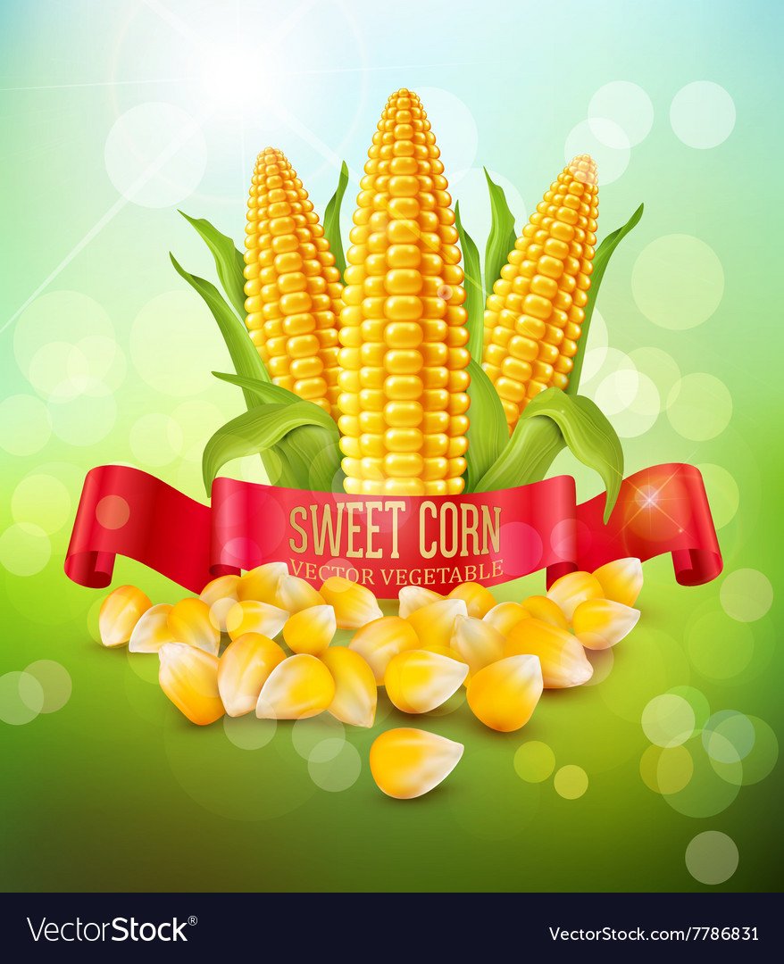 Банка кукурузы нарисованная