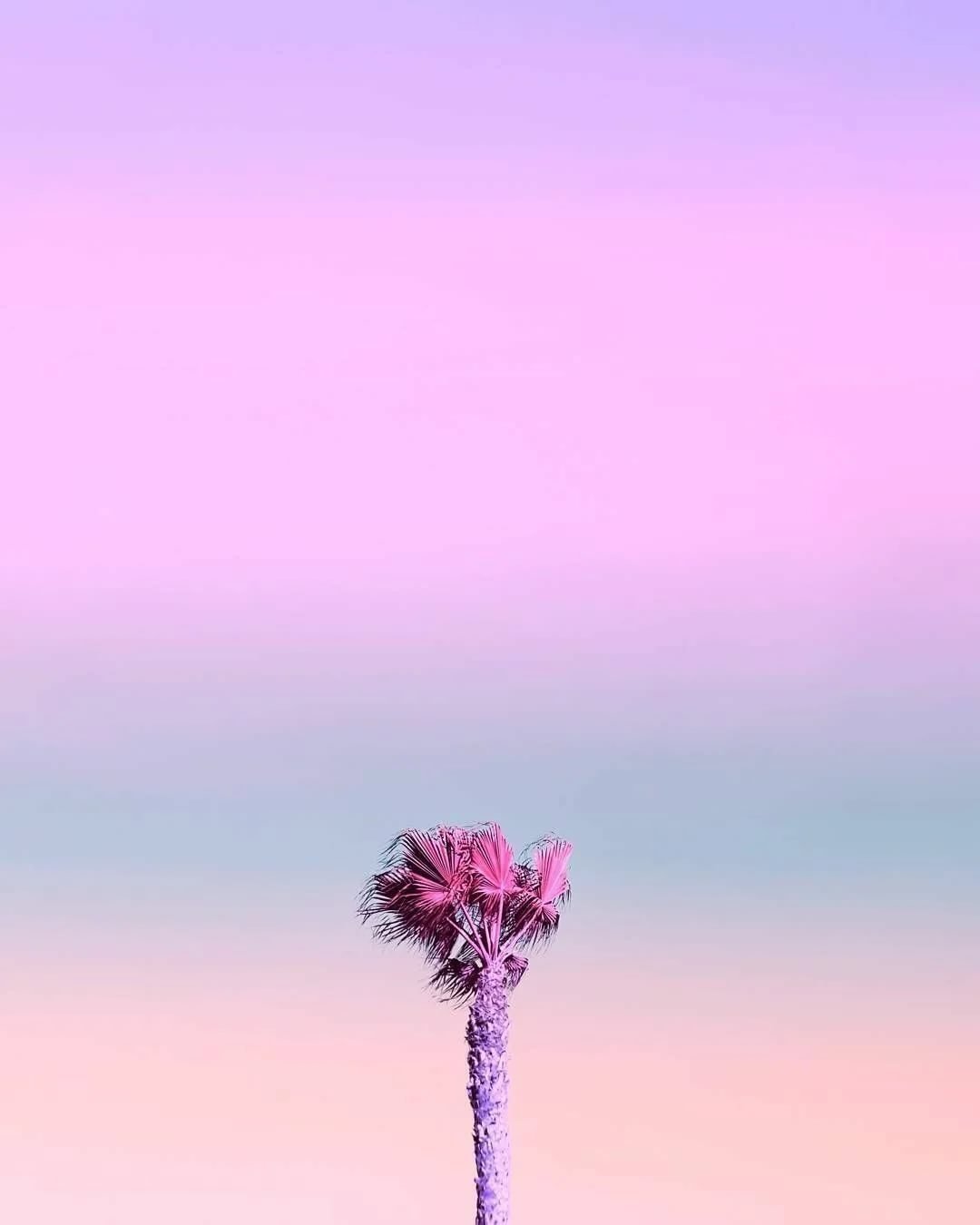 Эстетика сиреневого цвета