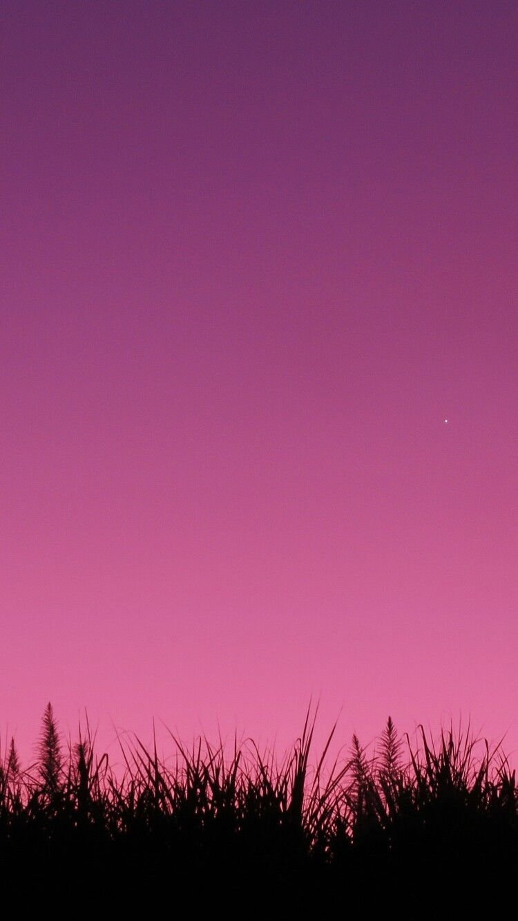 Эстетика сиреневого море