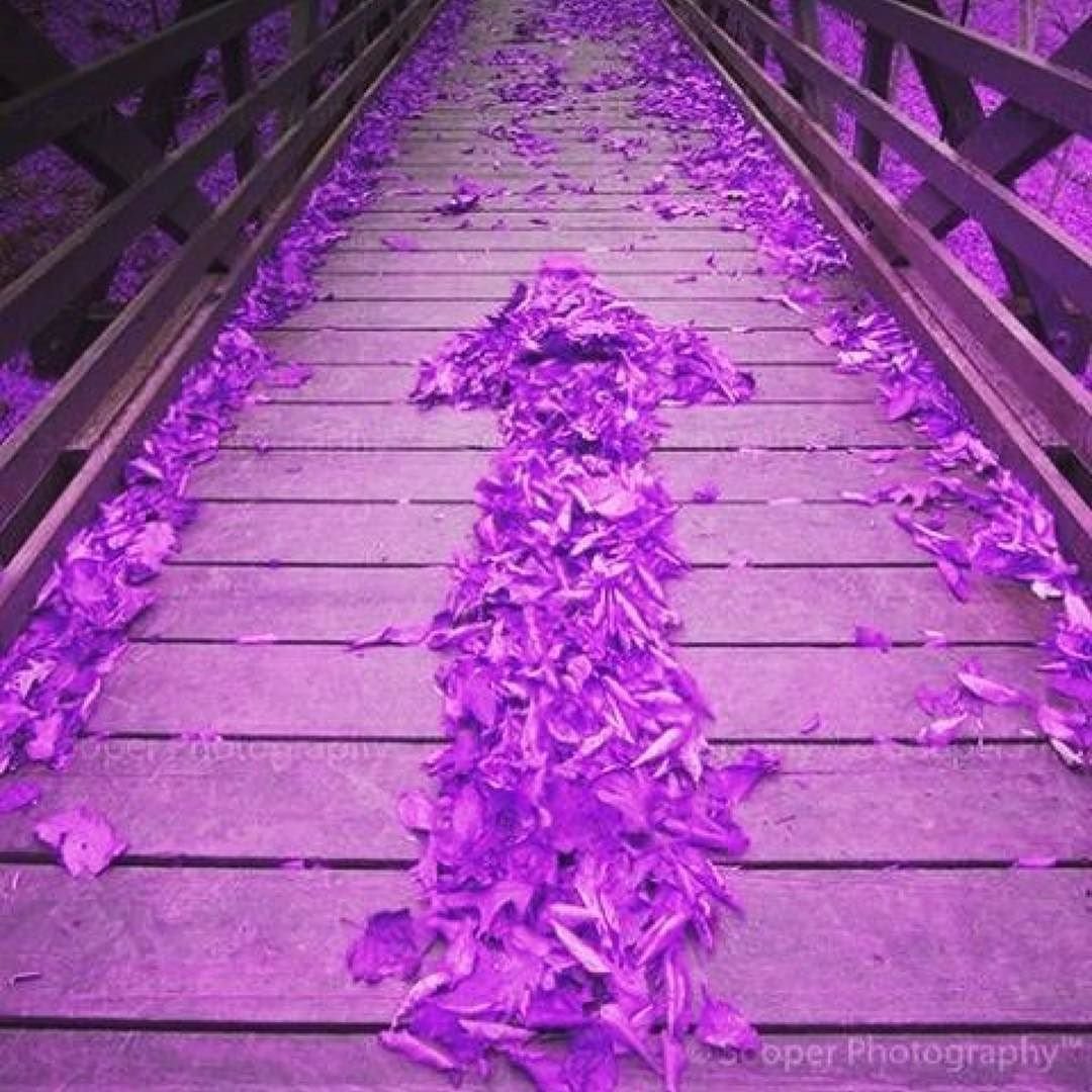 Фиолетовый дым