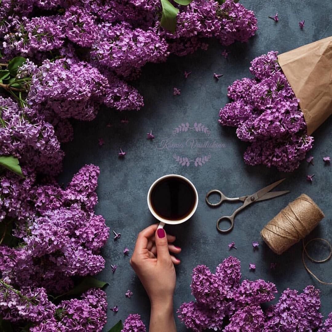 Предметы сиреневого цвета