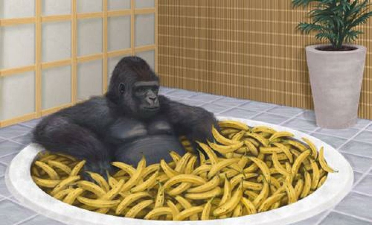 У обезьяны забирают банан