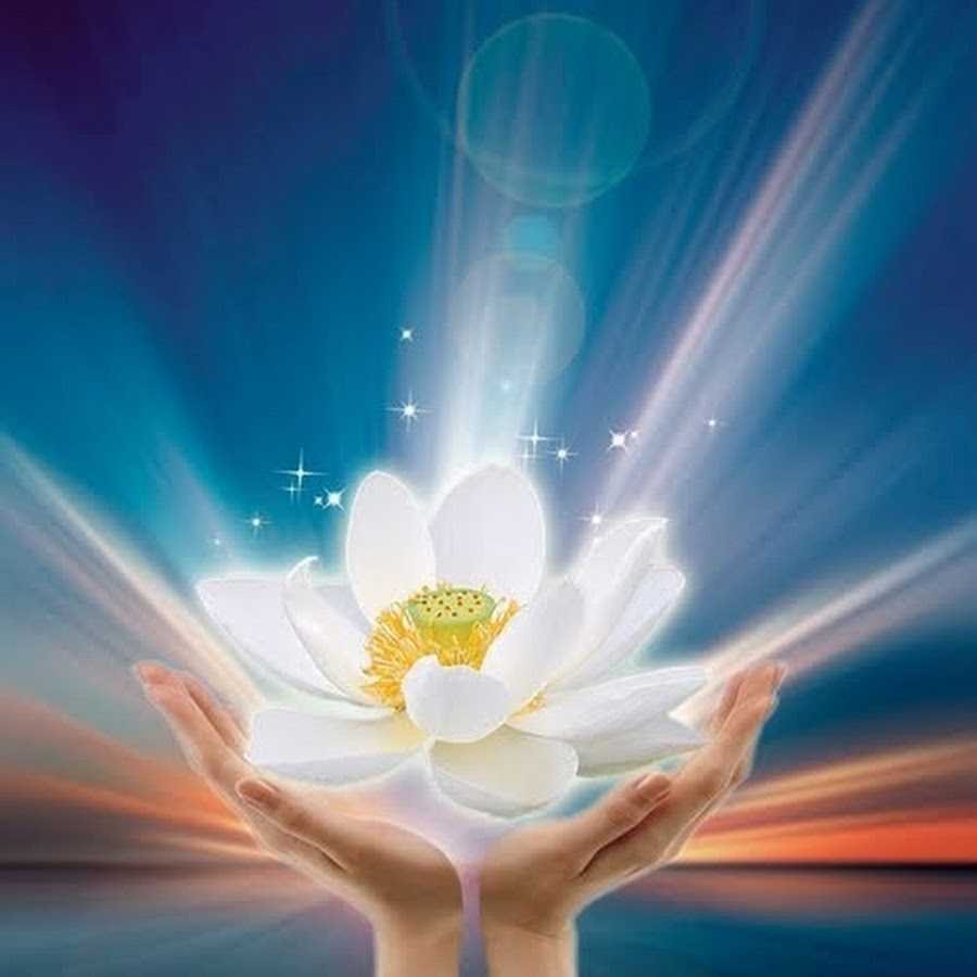 Божественные цветы