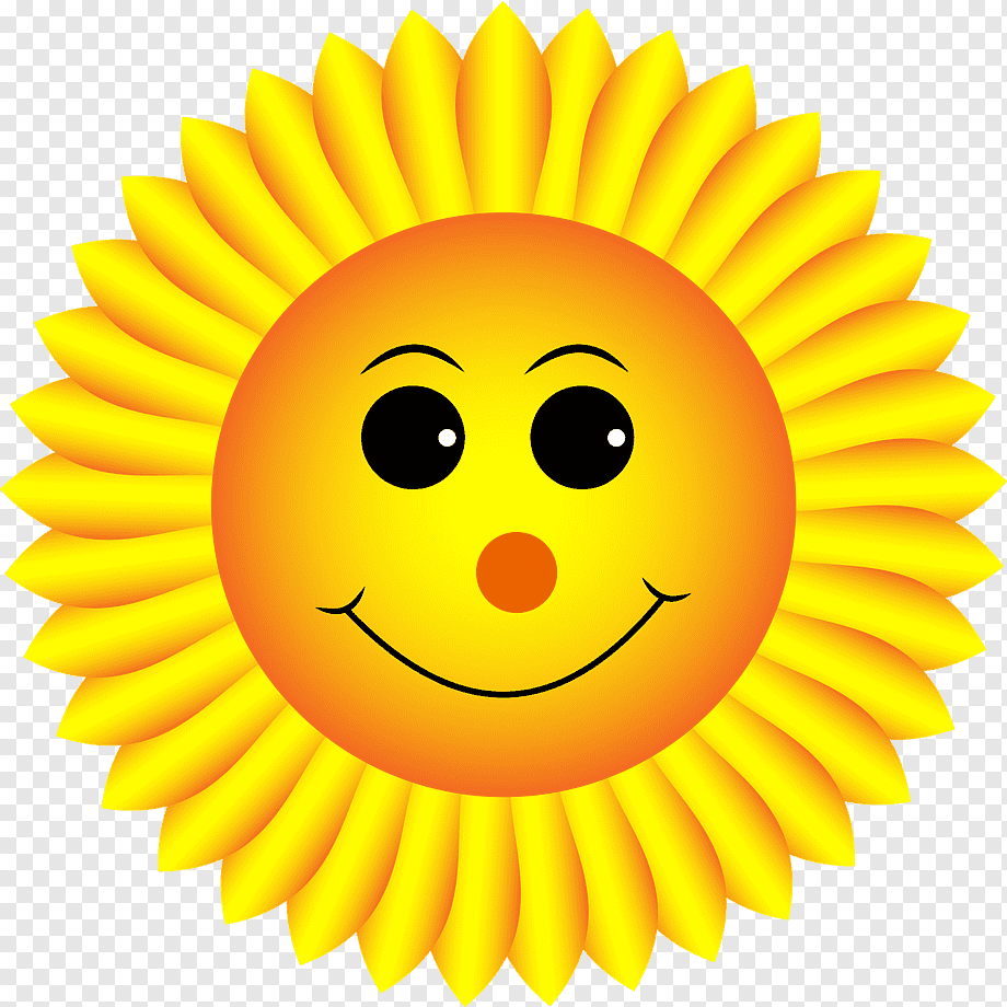 Сердитое солнышко