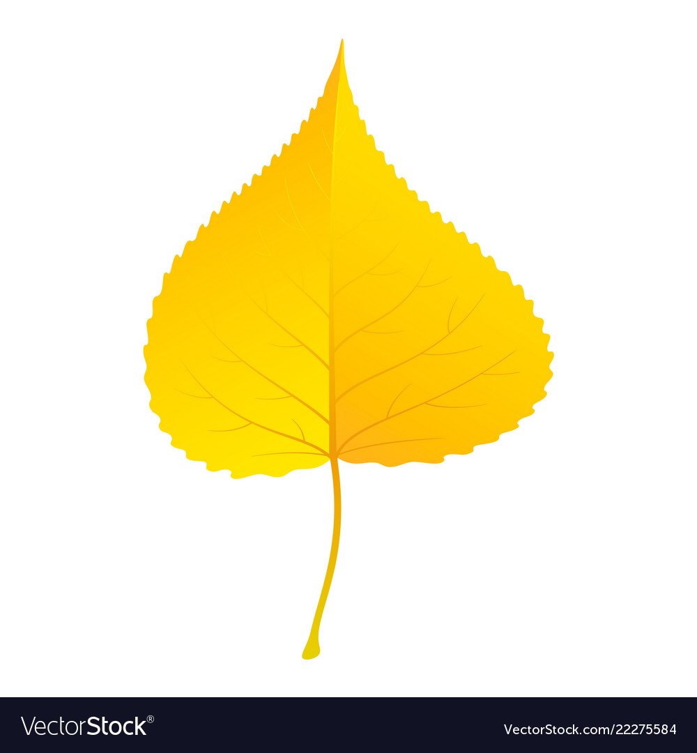 Лист березы желтый