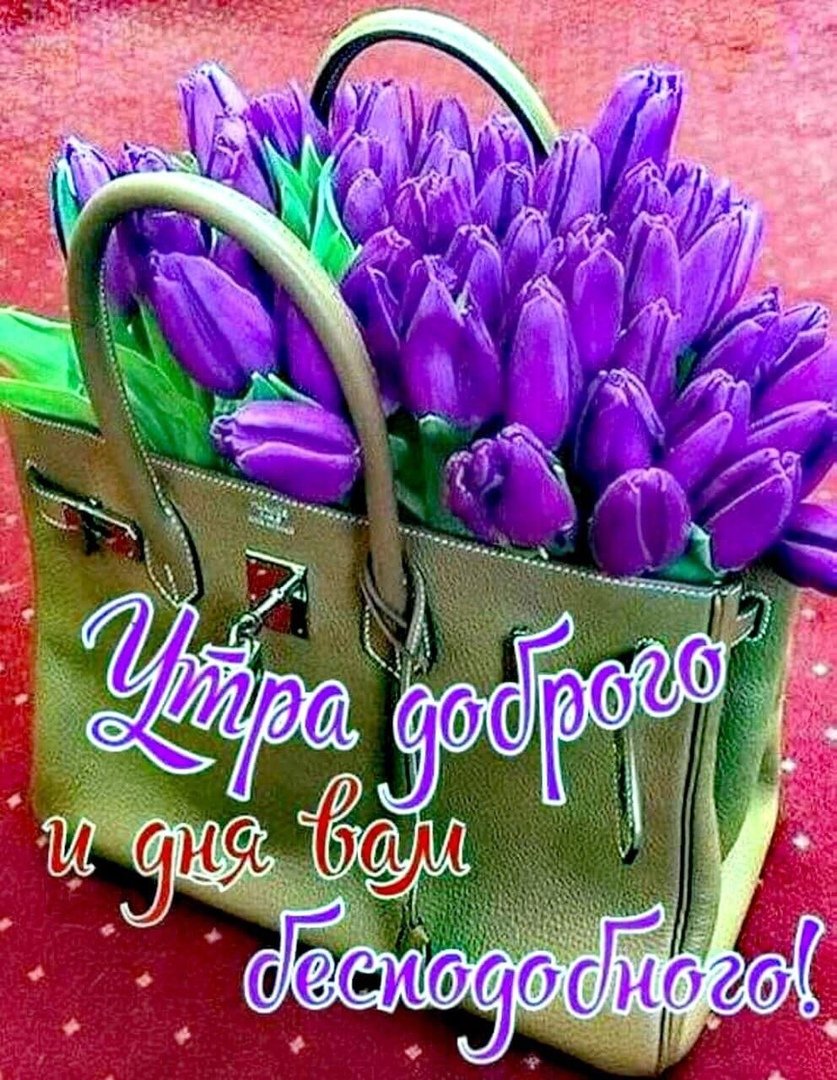 Букет тюльпанов в сумке