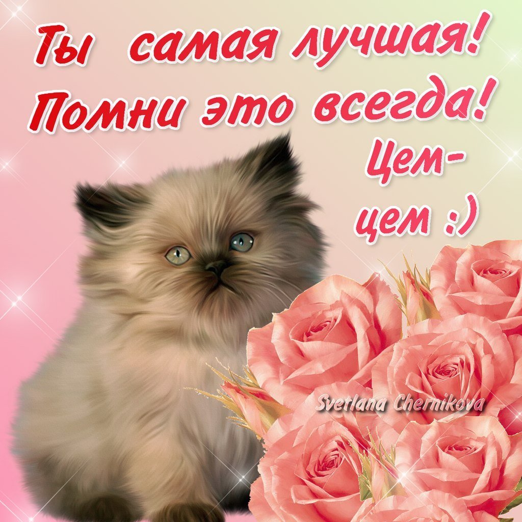 Цветы для любимой