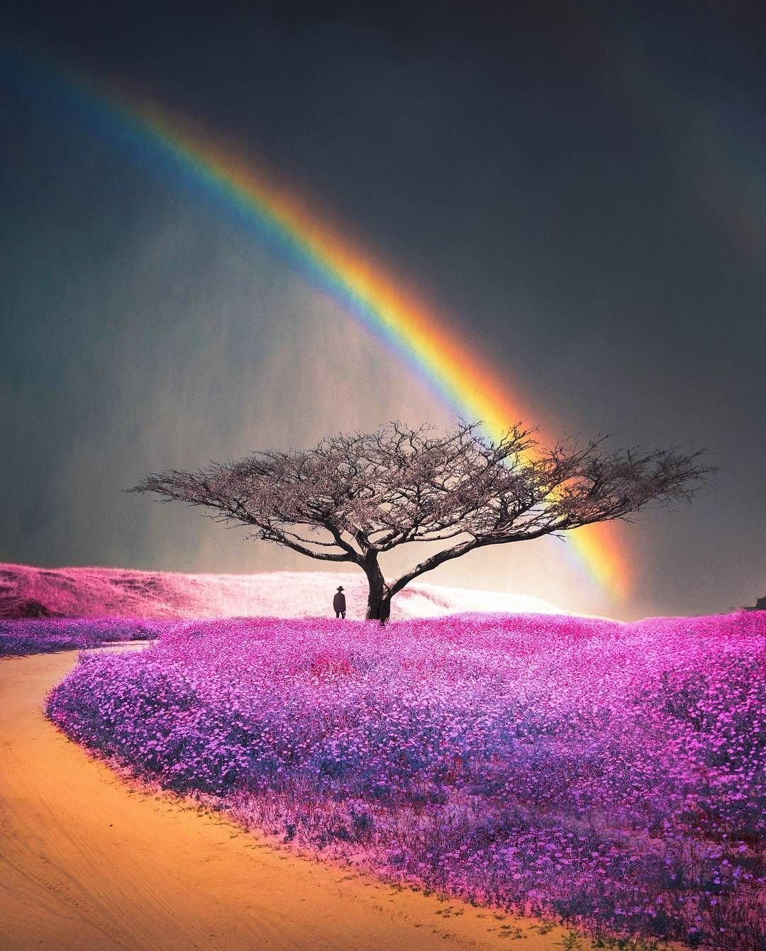 Красивые цвета