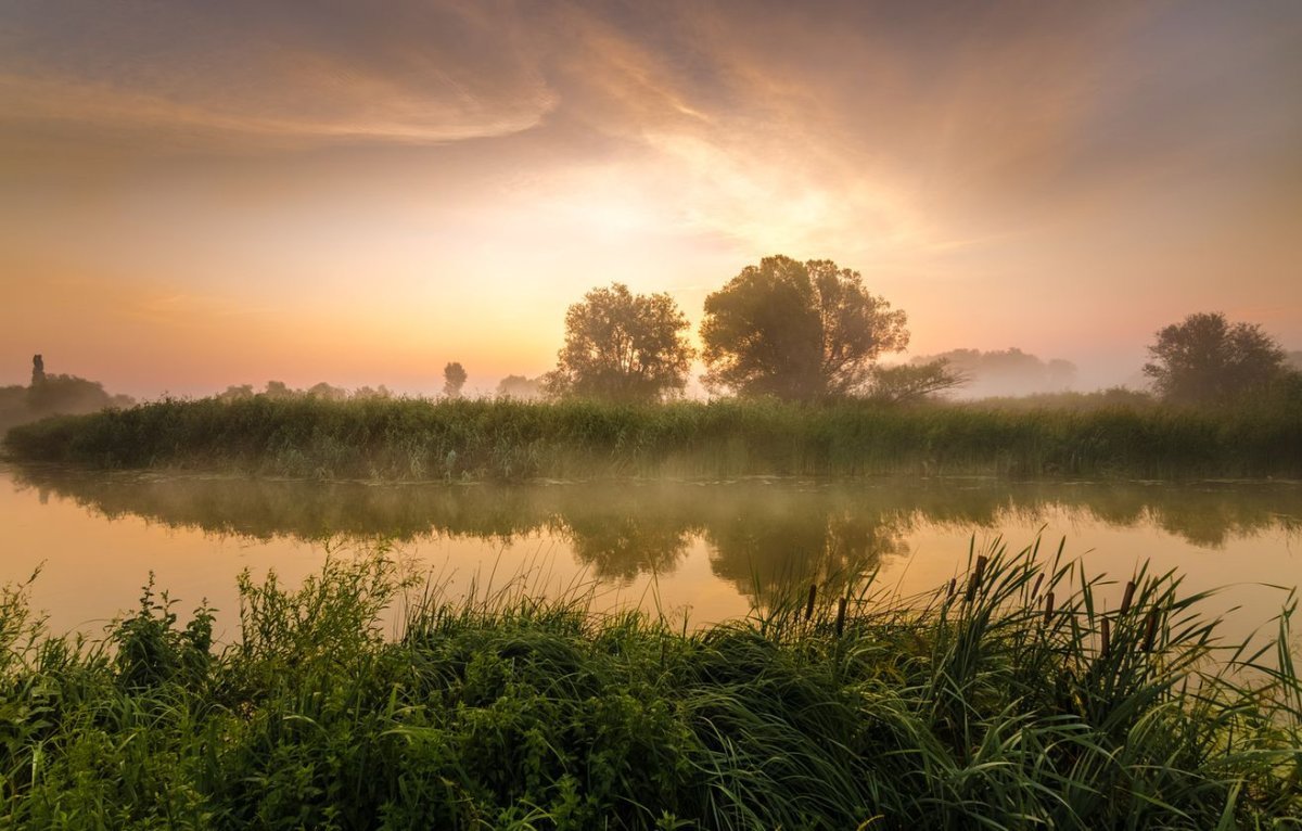 Речка тишина