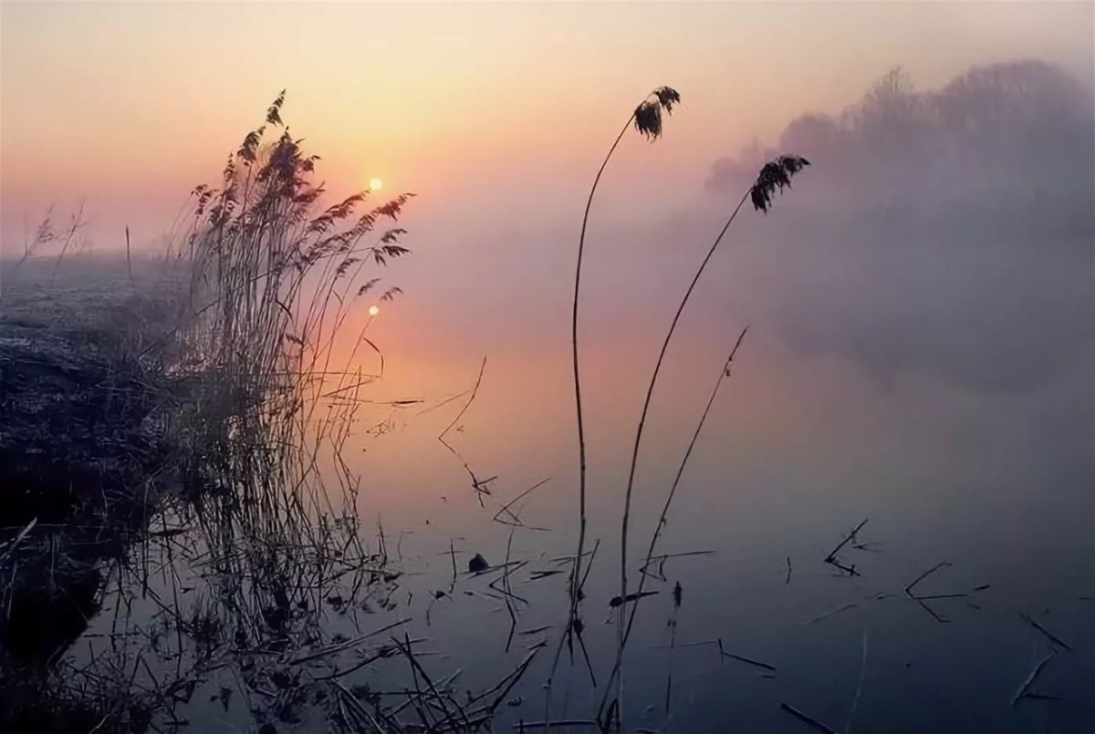 Безмолвная природа