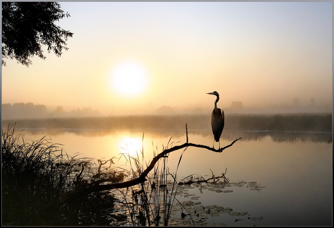 Фотопейзажи Вадима Трунова