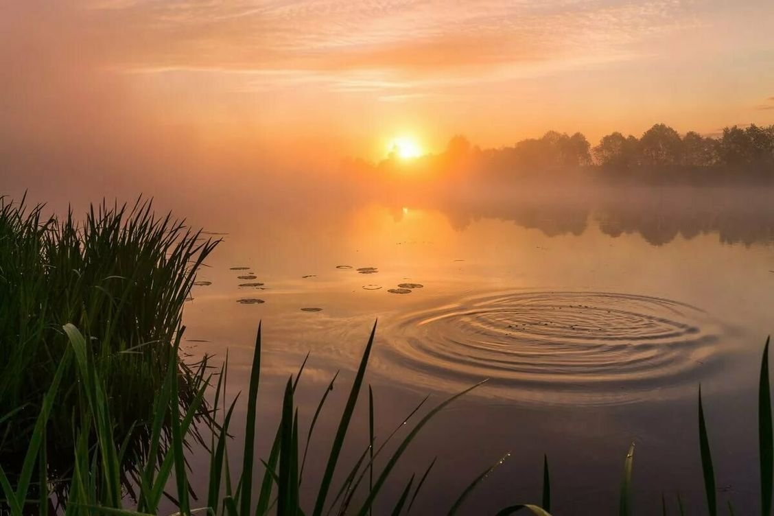 Рассвет на озере