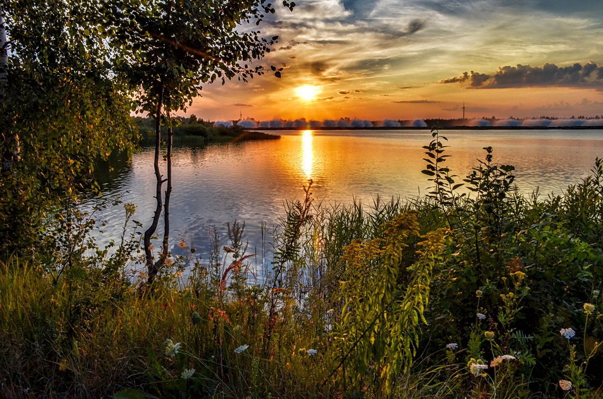 Пейзаж тишина