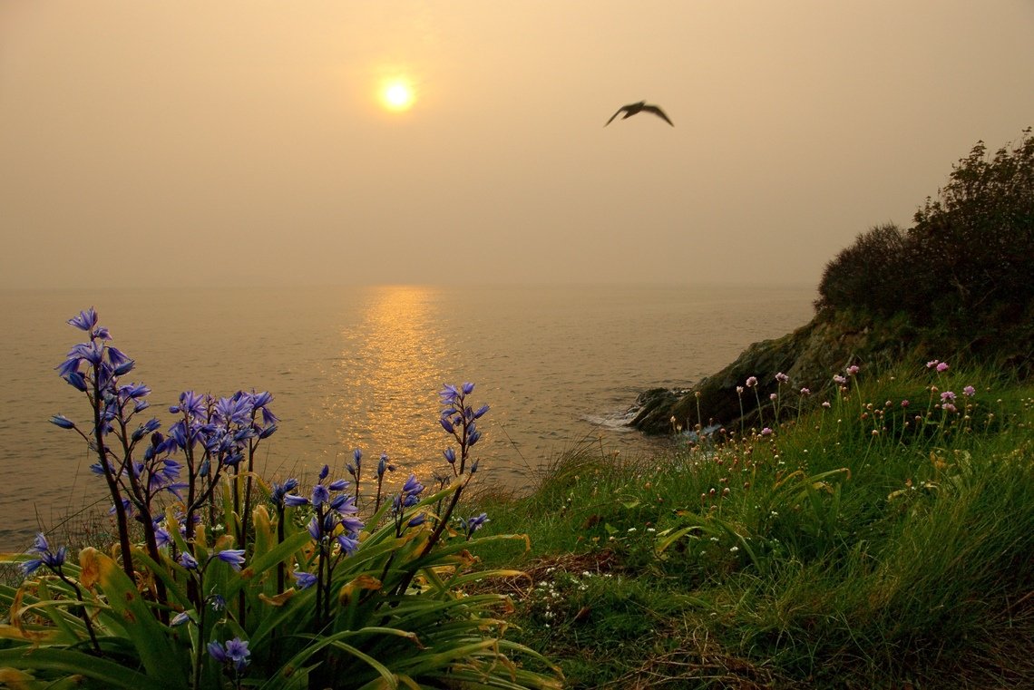 Море летним утром