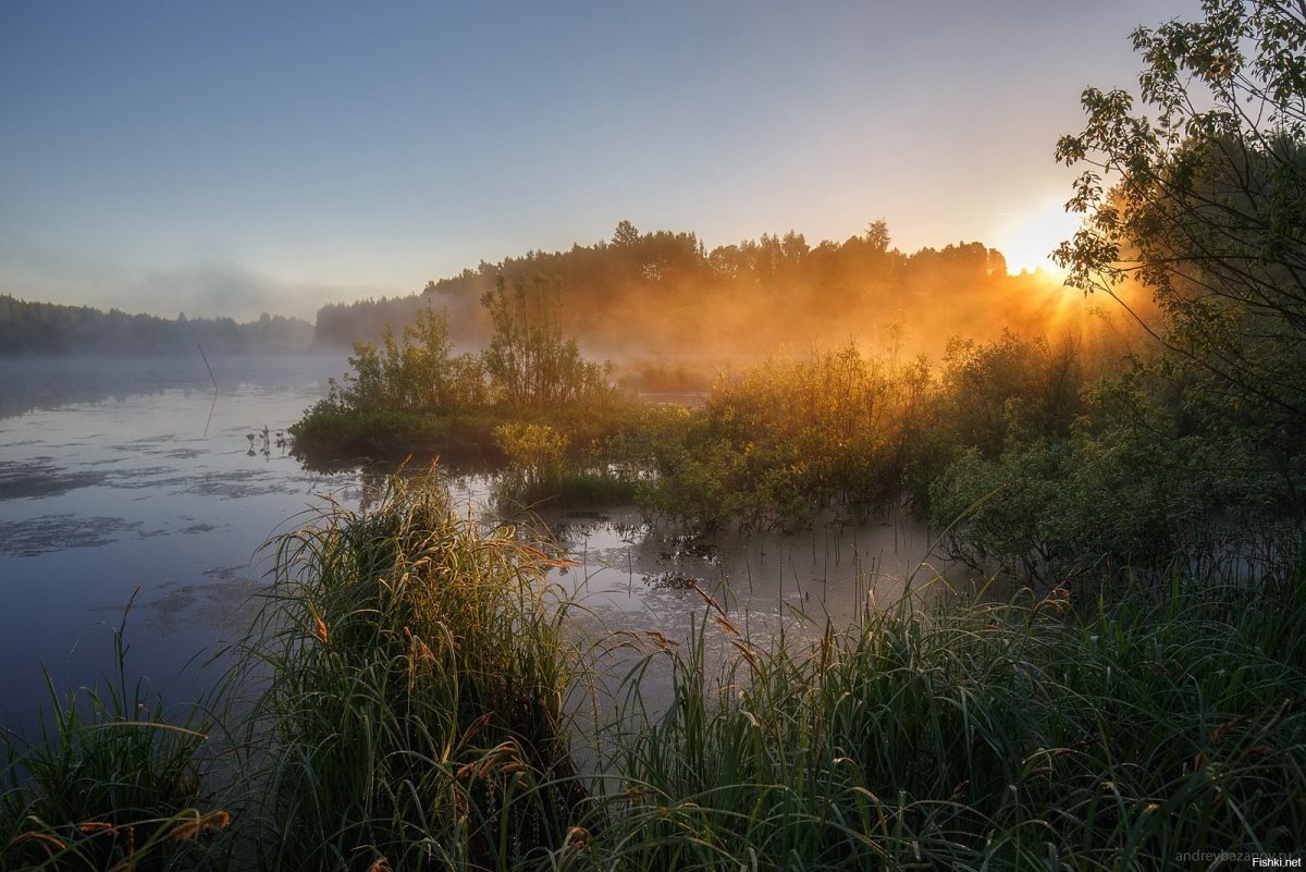 Андрей Базанов фотограф